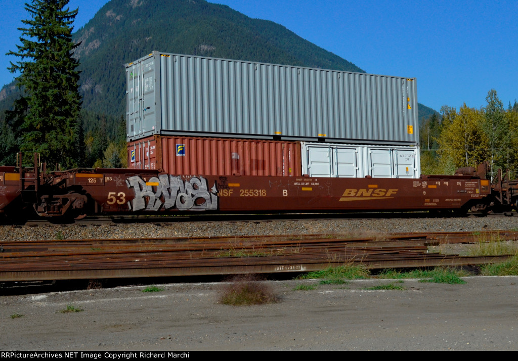 BNSF 255318